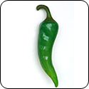 Baklouti Green Chili Fused Oil - $19.95 - 375ml image