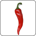 Cayenne Fused Oil - $19.95 - 375ml image