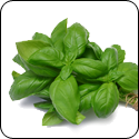 Basil Infused Oil - $19.95 - 375ml image