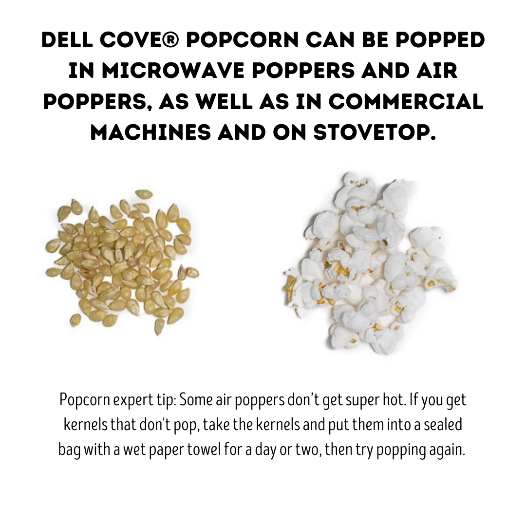 Popcorn Kernels - Baby White 2 Pound Bag - Hulless Pop Corn