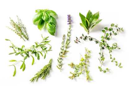 Herbs de Provence Infused Olive Oil