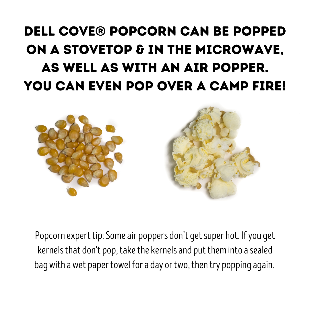 Popcorn Kernels - Movie Night Theater Snack - Half Pound Bag