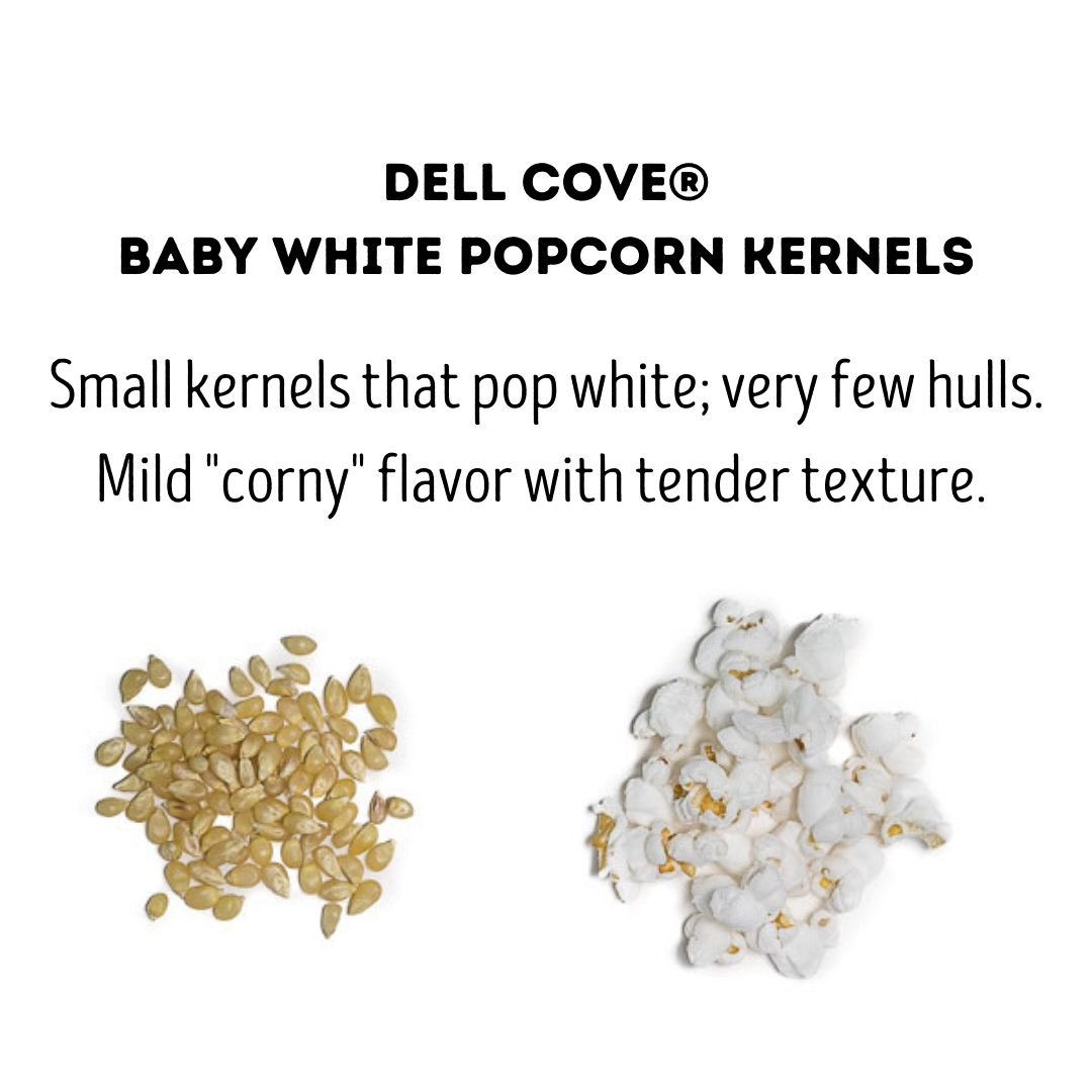 Popcorn Kernels - Baby White 2 Pound Bag - Hulless Pop Corn