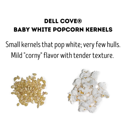 Popcorn Kernels - Baby White 2 Pound Bag - Hulless Pop Corn