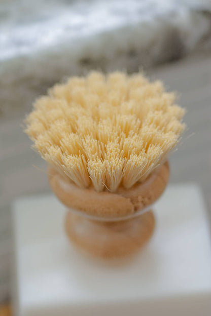 CASA AGAVE® Dish Washing Brush by "No Tox Life"